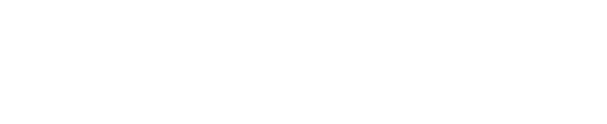 VEM sistemi